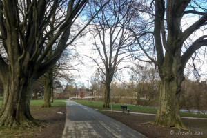 Winter path through King George V Playing Fields, Hereford UK