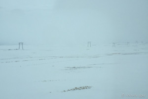 Power lines through a barren, snowy landscape, Golden Circle Tour, Iceland