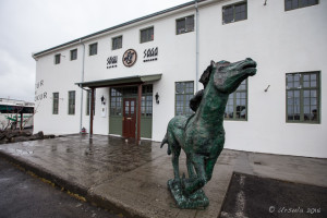 Running horse sculpture outside the Reykjavík Saga Museum, Iceland