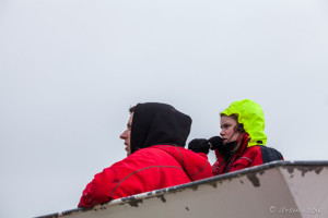 Watching for Whales Greenland Sea, Iceland