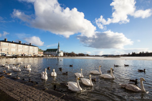 Lake Tjörnin in afternoon light, Reykjavik
