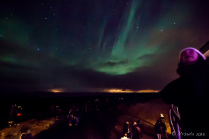 Looking for the Northern Lights, Garður Iceland