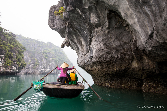 Vietnamese woman Rowing tourists part karst formations, Vung Vieng, Bai Tu Long Bay, Vietnam