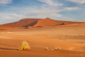 Sand dunes, Namib-Naukluft Park, Namibia