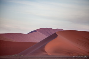 Curving sand dunes in shadow, Namib-Naukluft Park, Namibia