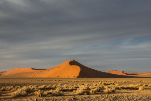 Light and Shadows over the Dunes, Namib-Naukluft Park, Namibia