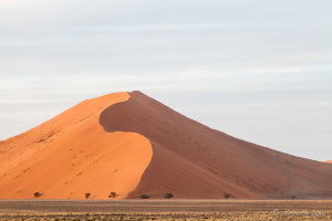 Sun Rising on Dune 40, Namib-Naukluft Park, Namibia