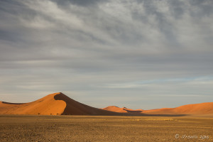 Long Shadows over the Dunes, Namib-Naukluft Park, Namibia