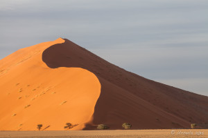 Dune 40, Namib-Naukluft Park, Namibia