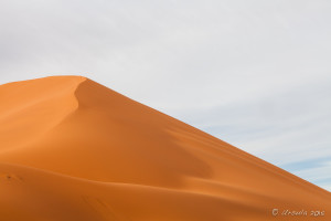 Dune 40, Namib-Naukluft Park, Namibia