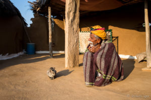 Old Rajasthani Man and small cat in a Courtyard, Thar Desert village, India