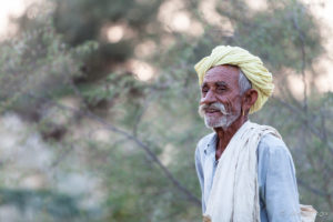 Old Rajasthani man in a white turban, Khiyasariya village, India