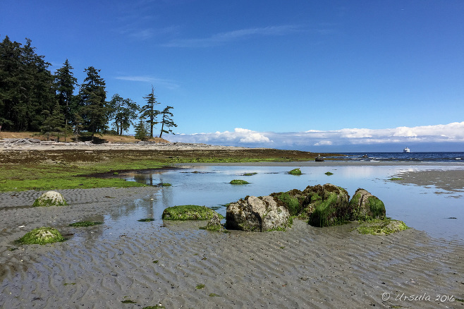 View across Kanaka Bay, Newcastle Island, BC Canada