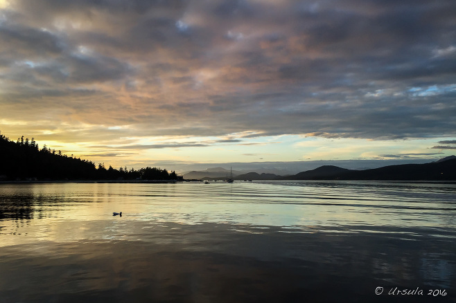 Evening over the entrance to Buccaneer Bay, Thormanby Island