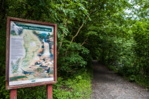 Welcome to the Waterfall Walk