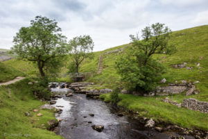 Raven Ray Bridge over the River Twiss, Ingleton Waterfalls Trail, North Yorkshire, UK