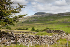 Landscape view to Ingleborough, Ingleton Waterfalls Trail, North Yorkshire, UK
