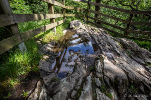 Clouds reflected in a Puddle, Ingleton Waterfalls Trail, North Yorkshire, UK