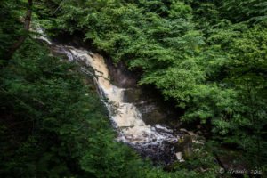 First Pecca Falls on the River Twiss, Ingleton Waterfalls Trail, North Yorkshire, UK