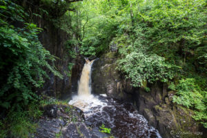 Hollybush Spout on the River Twiss, Ingleton Waterfalls Trail, North Yorkshire, UK