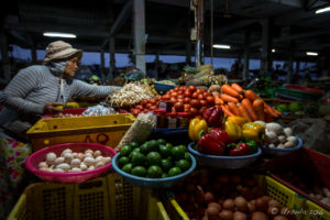 Vietnamese woman selling vegetables in the market, Hoi An Vietnam