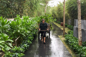 Vietnamese Gardener with a cart in the rain, Naman Retreat, Danang Vietnam
