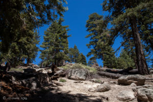 A Rocky Pathway up to Castle Rock, Big Bear Mountains CA USA