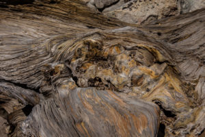 Textured Wood, Pathway up to Castle Rock, Big Bear Mountains CA USA