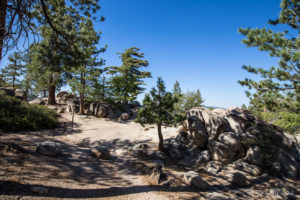 Long Shadows on the Pathway up to Castle Rock, Big Bear Mountains CA USA