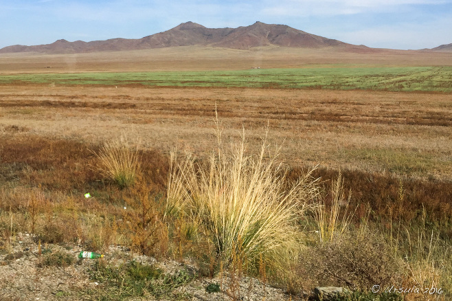 A clump of grass in front of a Mongolian plain, Ulaanbaatar