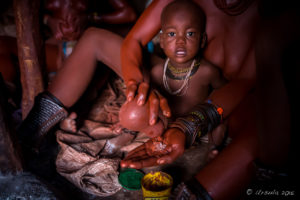 Himba woman pouring ochre powder into her hands, Kunene Region Namibia