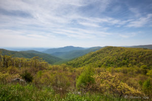 View over Thornton Gap, Shenandoah National Park VA