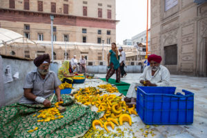 India men at cutting pumpkin on the roof, Gurudwara Sis Ganj Sahib, Chandni Chowk, Old Delhi