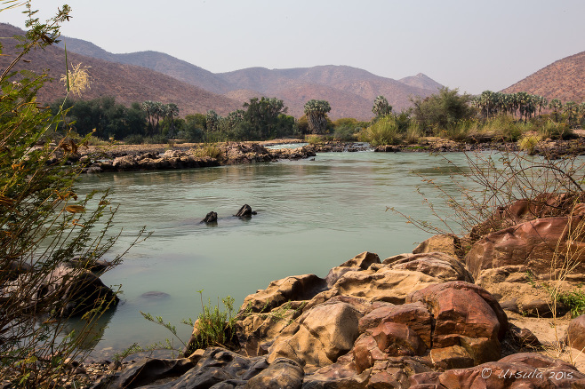 Landscape: Looking over the Kunene River above Epupa Falls, Namibia