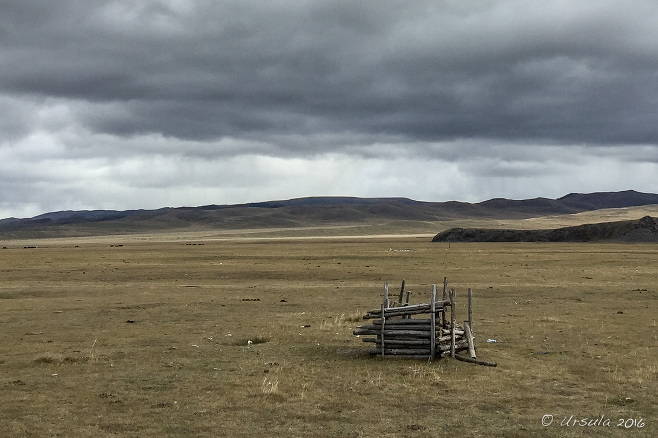 Three-sided rough wooden shelter on a grassy plain, Mongolia