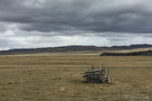 Three-sided rough wooden shelter on a grassy plain, Mongolia