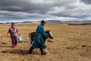 Nomadic Mongolians and a young horse on the steppes.