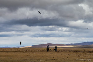 cinereous vulture (Aegypius monachus) and two men on the Mongolian steppes