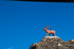 Mongolian Ibex canyon Statue against a blue sky