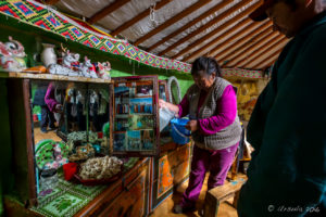 Mongolian nomadic woman in a ger, pouring Out Homemade Vodka into bottle.