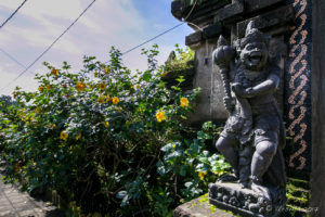 Dwarapala at the entrance to a village near Bayung Gede, Bangli Regency, Bali