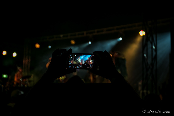 Hanks holding a smart phone in a dark tent, videoing the California Honeydrops, Bluesfest Byron Bay AU