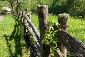 Fence Posts Humpback Rocks Farm