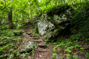 Steps on the Smart View Loop Trail, , Blue Ridge Parkway, VA USA