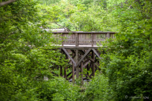Bridge in the Green, Mabry Mill, Blue Ridge Parkway, VA USA