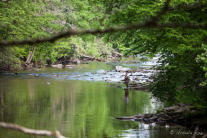 Man in gators fishing in the Linville River, NC USA