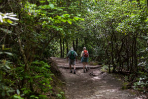 Hikers on the Trail into the Linville Woods, NC USA