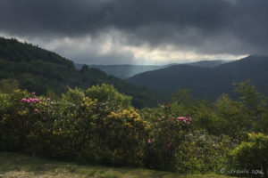 Storm clouds over Graveyard Fields , Blue Ridge Parkway, NC USA