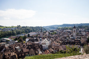 View over Altstadt Rooftop
