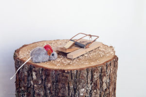 Toy mouse on a log with a mouse-trap,, Schaffhausen, Switzerland